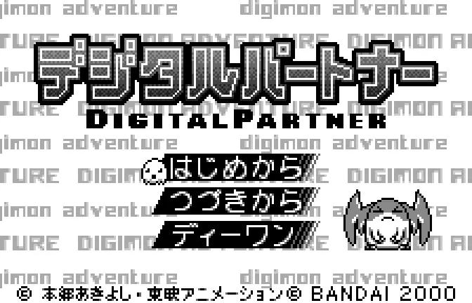 ROM Digital Partner